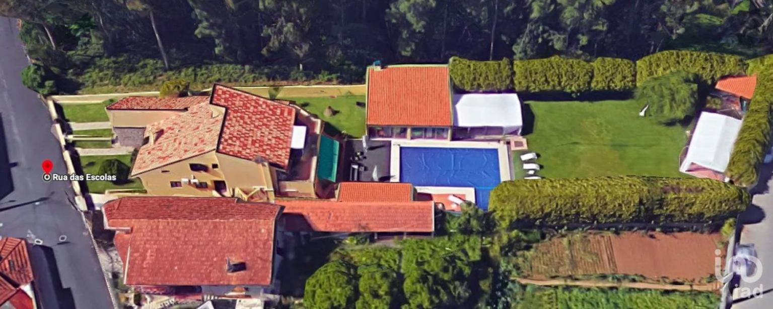 Guesthouse Pool & Sea Espinho Oporto Eksteriør billede